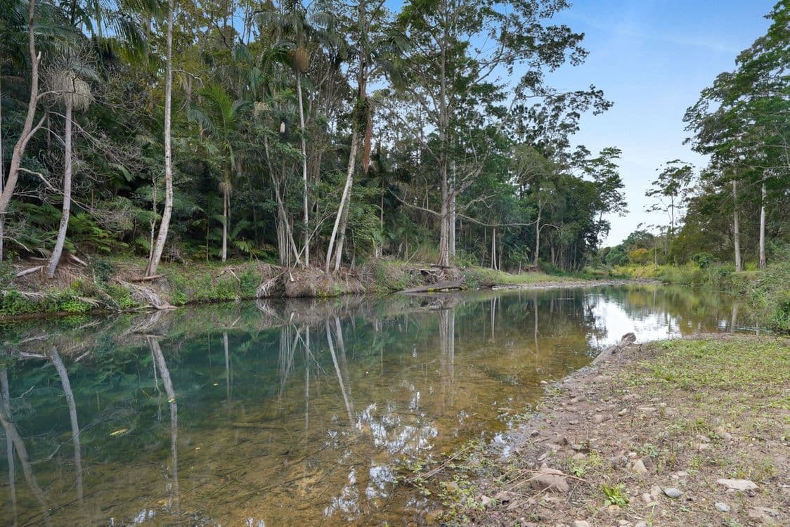 1074 Tallebudgera Creek Road, Tallebudgera Valley, QLD 4228, Tallebudgera Valley - Thumbnail 2