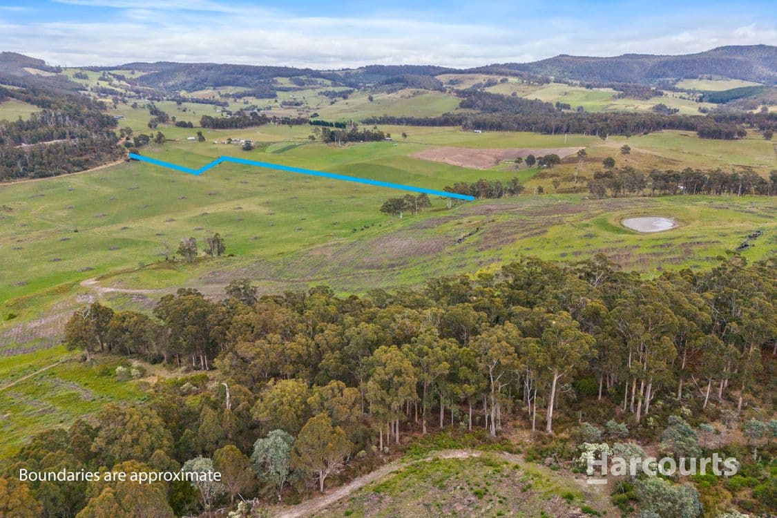 2020 Buckland Road, WOODSDALE, TAS 7120, Woodsdale - Thumbnail 2