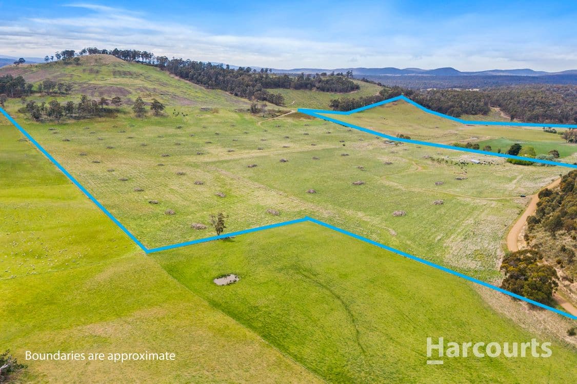 2020 Buckland Road, WOODSDALE, TAS 7120, Woodsdale - Thumbnail 3
