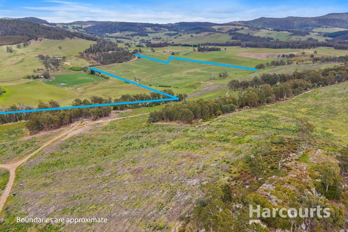 2020 Buckland Road, WOODSDALE, TAS 7120, Woodsdale - Thumbnail 4