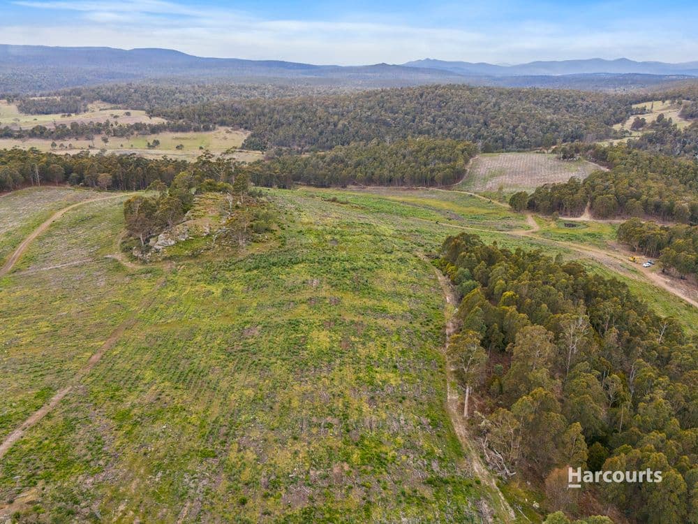 2020 Buckland Road, WOODSDALE, TAS 7120, Woodsdale - Thumbnail 6