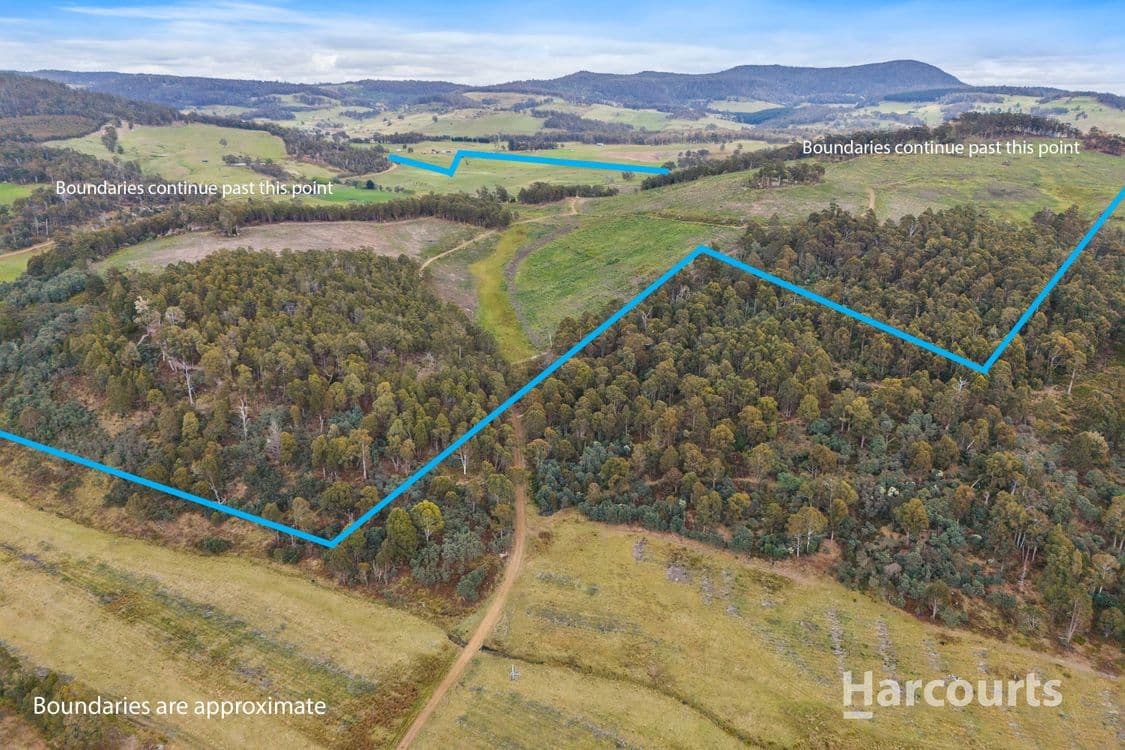 2020 Buckland Road, WOODSDALE, TAS 7120, Woodsdale - Thumbnail 7