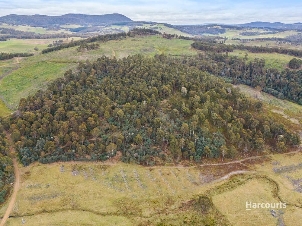 2020 Buckland Road, WOODSDALE, TAS 7120, Woodsdale - Thumbnail 8