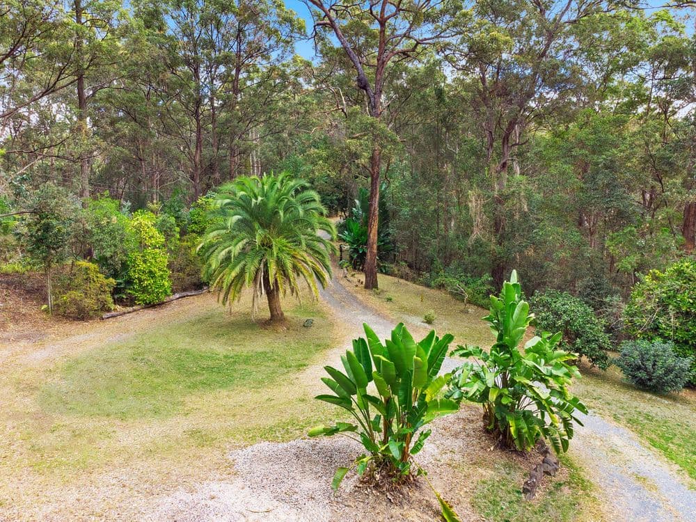 15 Barmark Court, Tallebudgera Valley, QLD 4228, Tallebudgera Valley - Thumbnail 6