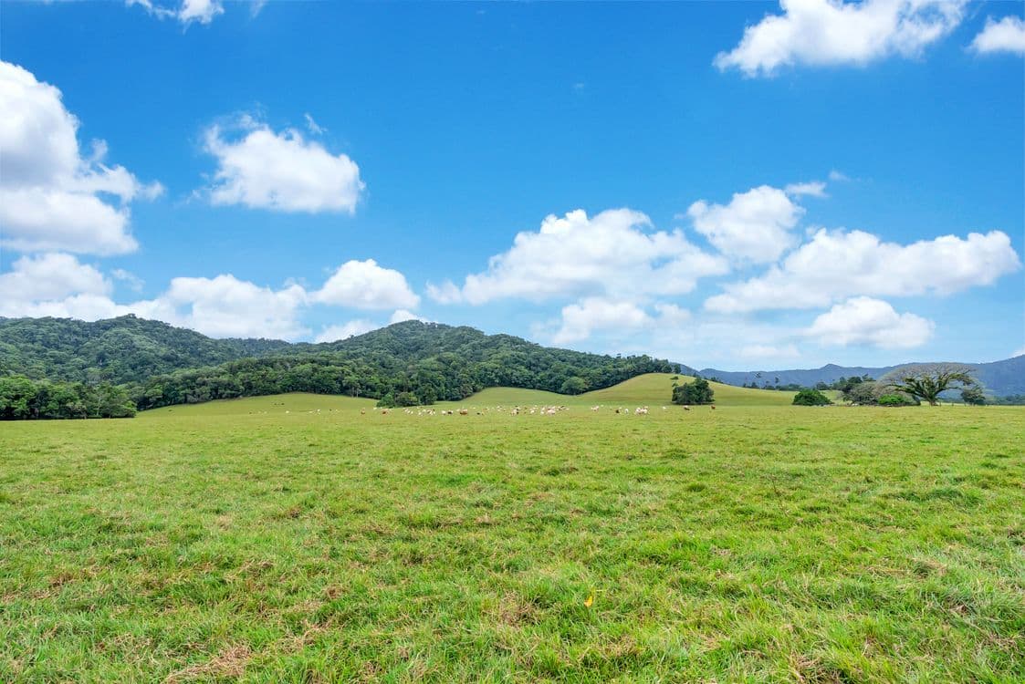 55 Pandanus Road, COW BAY, QLD 4873, Cow Bay - Thumbnail 2