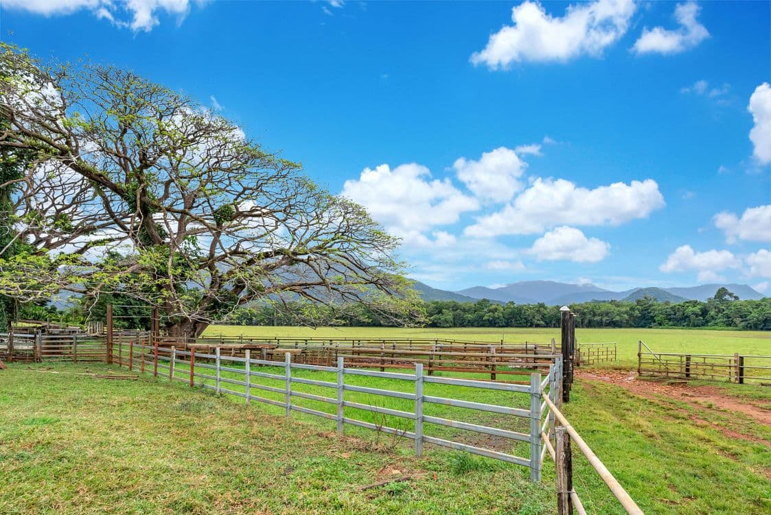 55 Pandanus Road, COW BAY, QLD 4873, Cow Bay - Thumbnail 3