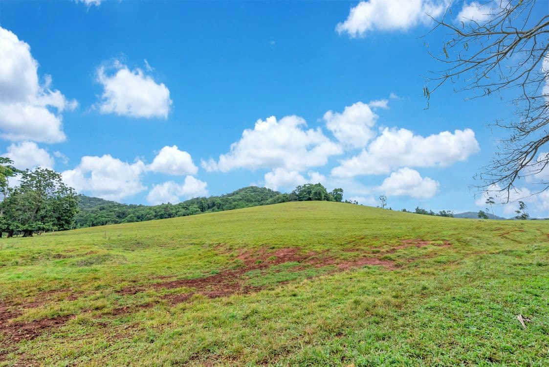 55 Pandanus Road, COW BAY, QLD 4873, Cow Bay - Thumbnail 4