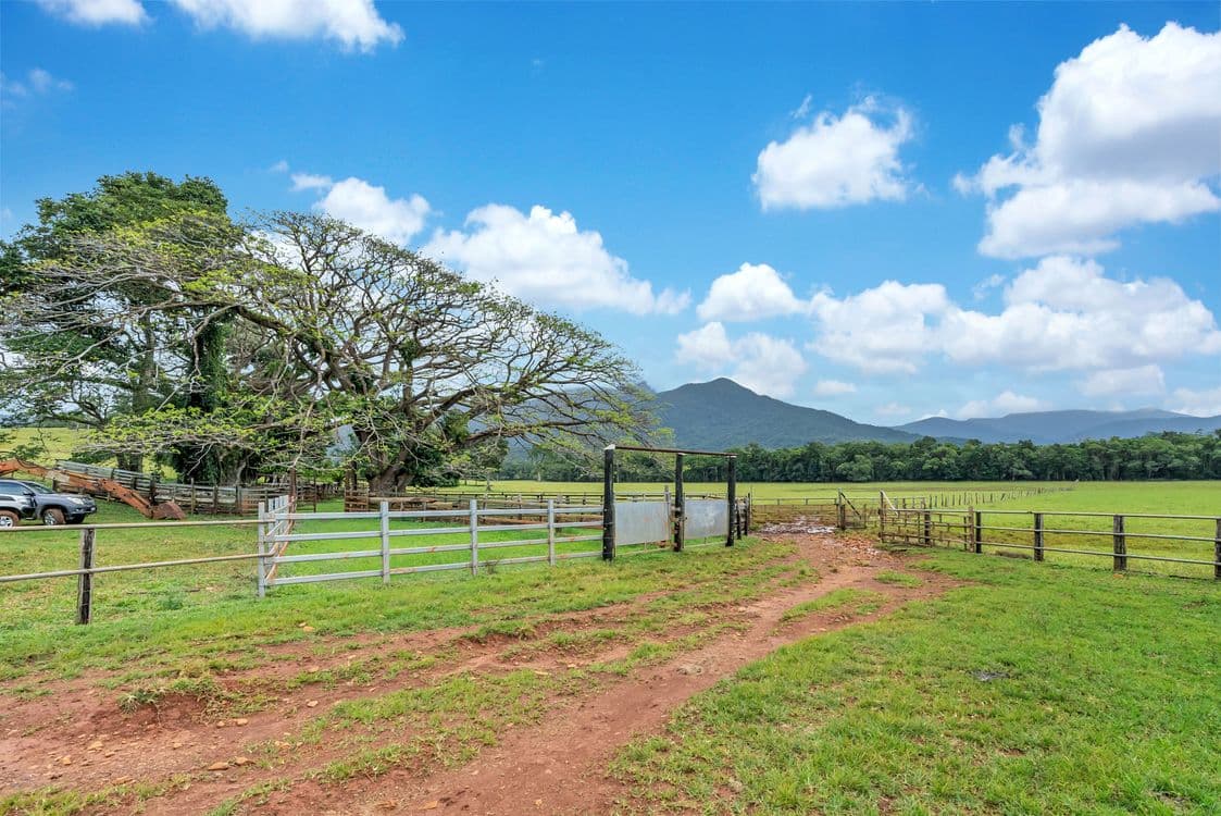 55 Pandanus Road, COW BAY, QLD 4873, Cow Bay - Thumbnail 6