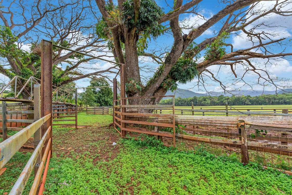 55 Pandanus Road, COW BAY, QLD 4873, Cow Bay - Thumbnail 7