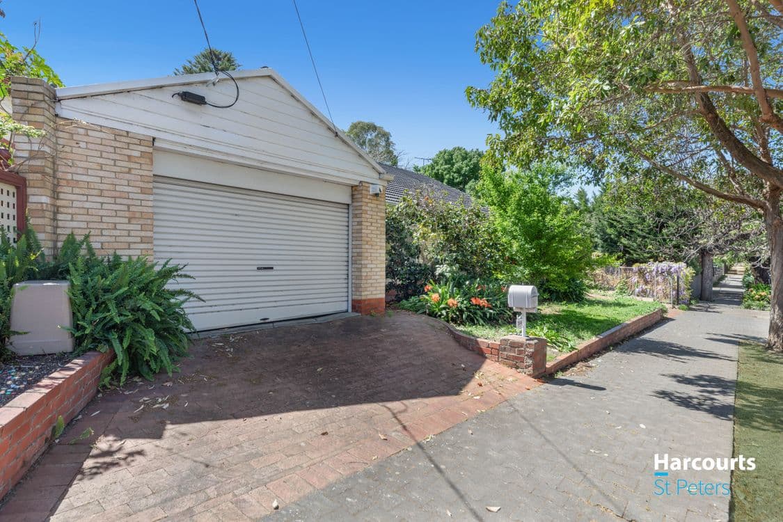 244 Young Street, UNLEY, SA 5061, Unley - Thumbnail 3