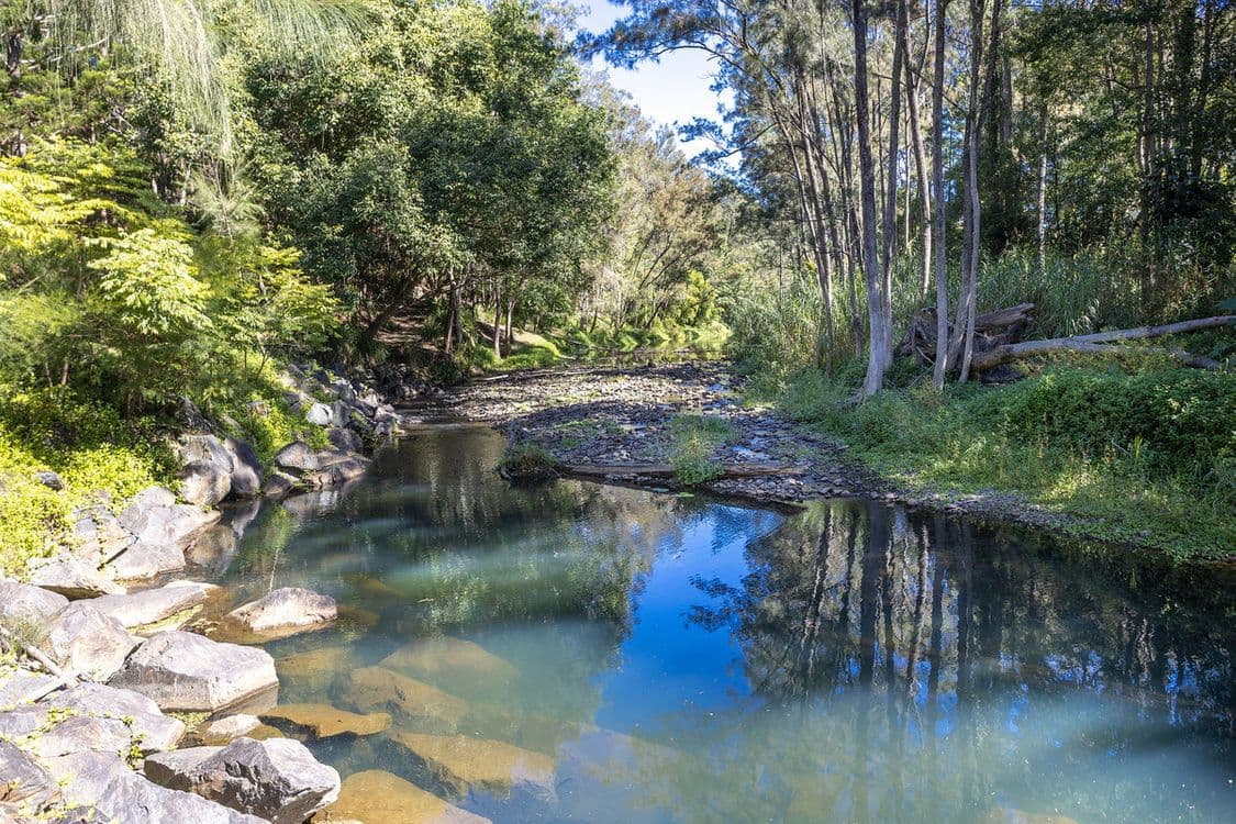 42 Syndicate Road, Tallebudgera Valley, QLD 4228, Tallebudgera Valley - Thumbnail 3