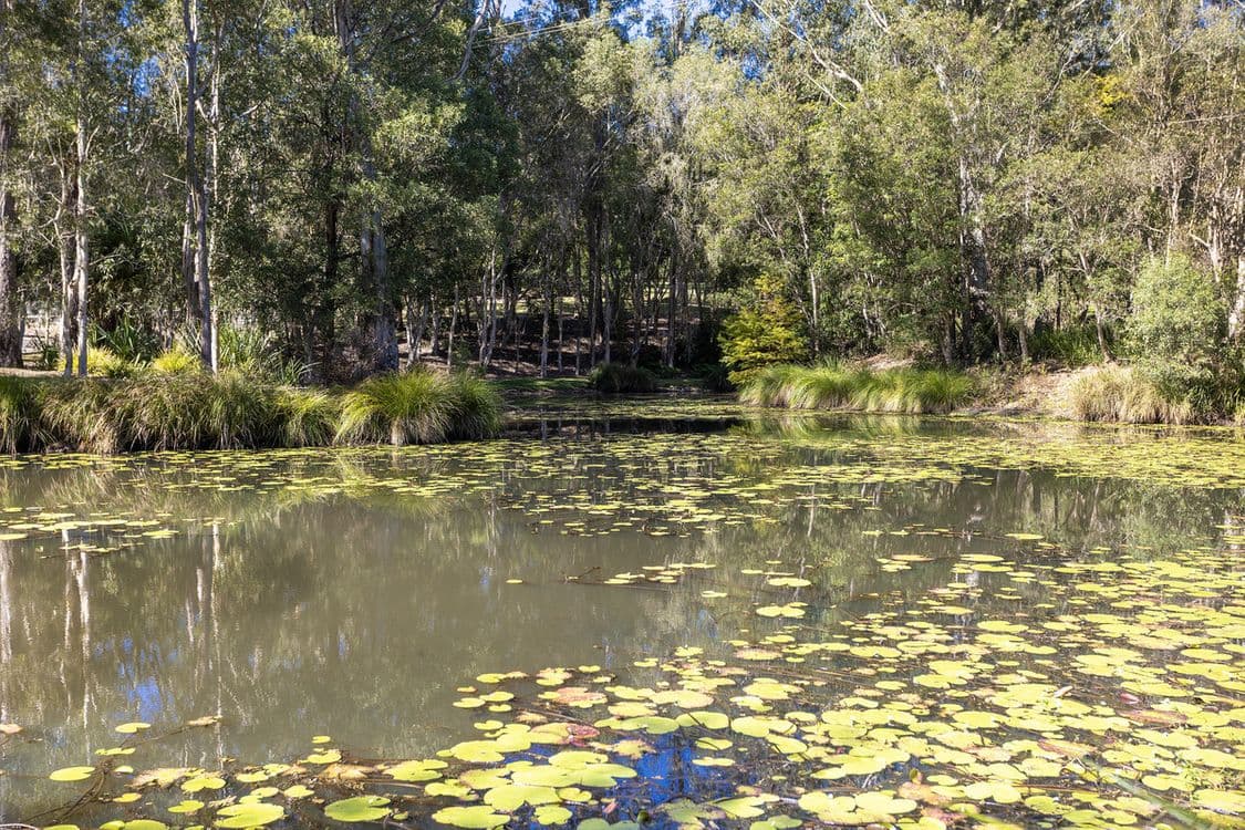 42 Syndicate Road, Tallebudgera Valley, QLD 4228, Tallebudgera Valley - Thumbnail 4