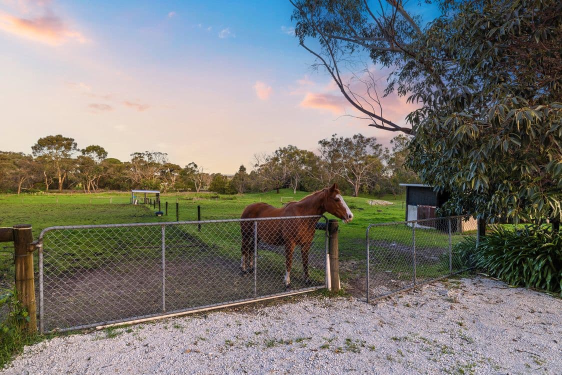12 Crofters Hill Way, SOMERVILLE, VIC 3912, Somerville - Thumbnail 3