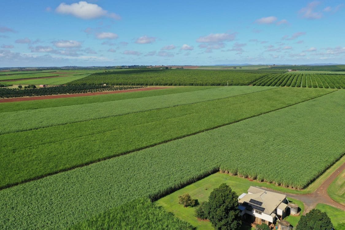 79 Knockroe Road, NORTH ISIS, QLD 4660, North Isis - Thumbnail 2