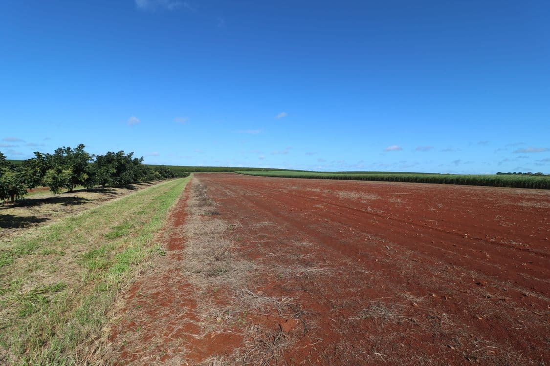 79 Knockroe Road, NORTH ISIS, QLD 4660, North Isis - Thumbnail 4