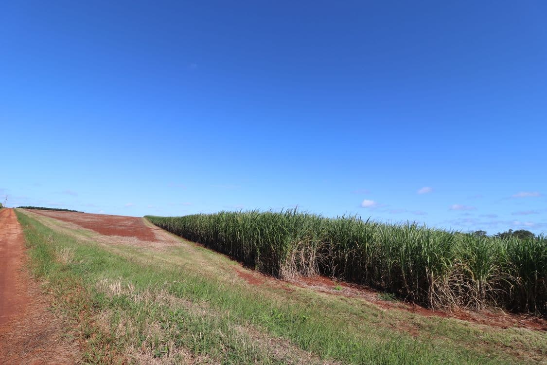 79 Knockroe Road, NORTH ISIS, QLD 4660, North Isis - Thumbnail 7