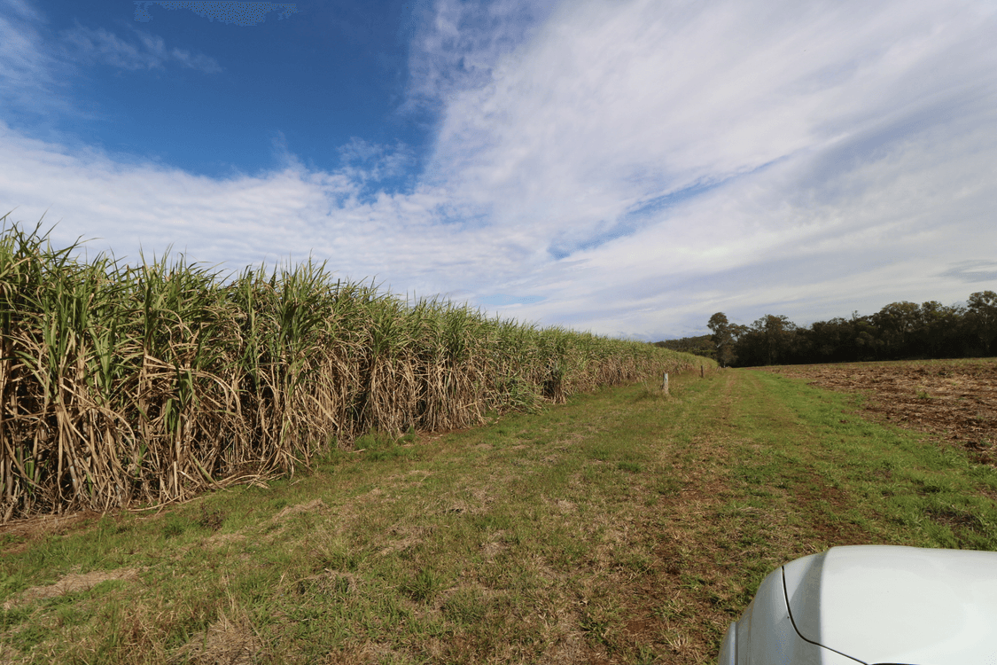Lot 53 Webbs Road, REDRIDGE, QLD 4660, Redridge - Thumbnail 6