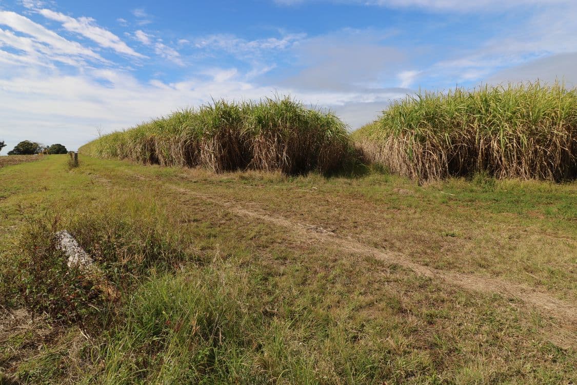 Lot 53 Webbs Road, REDRIDGE, QLD 4660, Redridge - Thumbnail 7