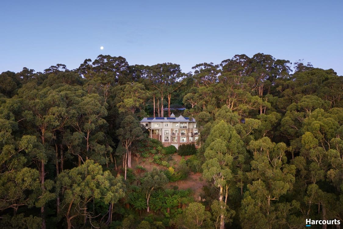 29 Breen Terrace, FERNY CREEK, VIC 3786, Ferny Creek - Thumbnail 2