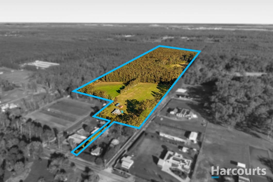 54A Lisadell Road, Medowie, NSW 2318, Medowie - Thumbnail 2