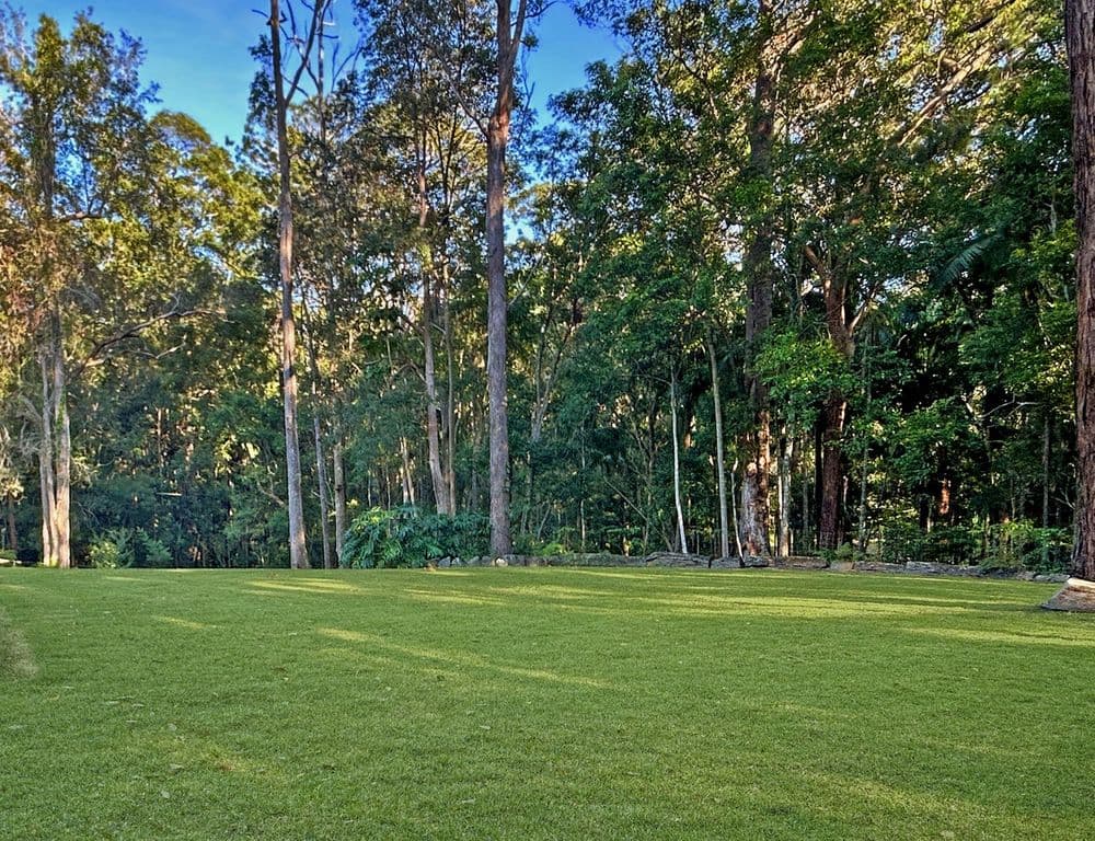 248 Trees Road, Tallebudgera, QLD 4228, Tallebudgera - Thumbnail 8