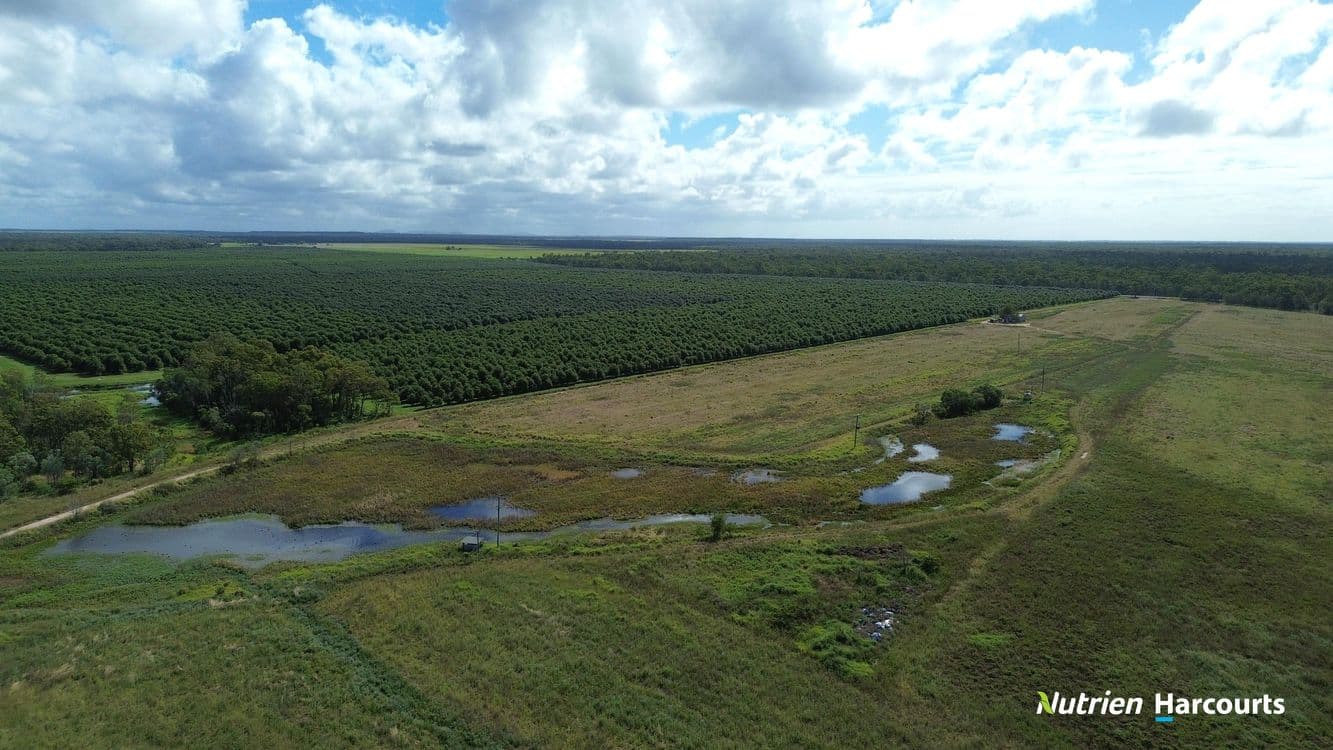 996 Foleys Road, NORTH GREGORY, QLD 4660, North Gregory - Thumbnail 6