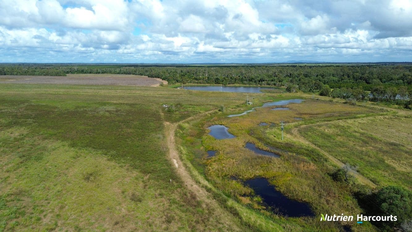 996 Foleys Road, NORTH GREGORY, QLD 4660, North Gregory - Thumbnail 7