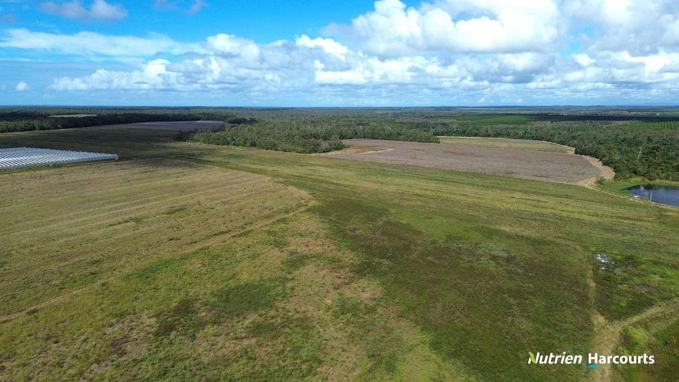996 Foleys Road, NORTH GREGORY, QLD 4660, North Gregory - Thumbnail 8