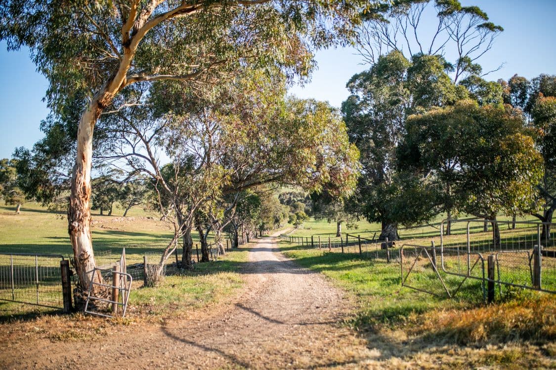 342 Klenke Road, RED CREEK, SA 5255, Red Creek - Thumbnail 3