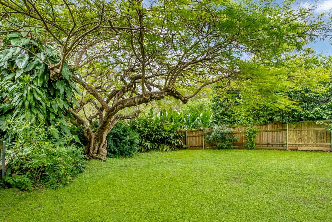 2 Cornford Street, MOOROOKA, QLD 4105, Moorooka - Thumbnail 6