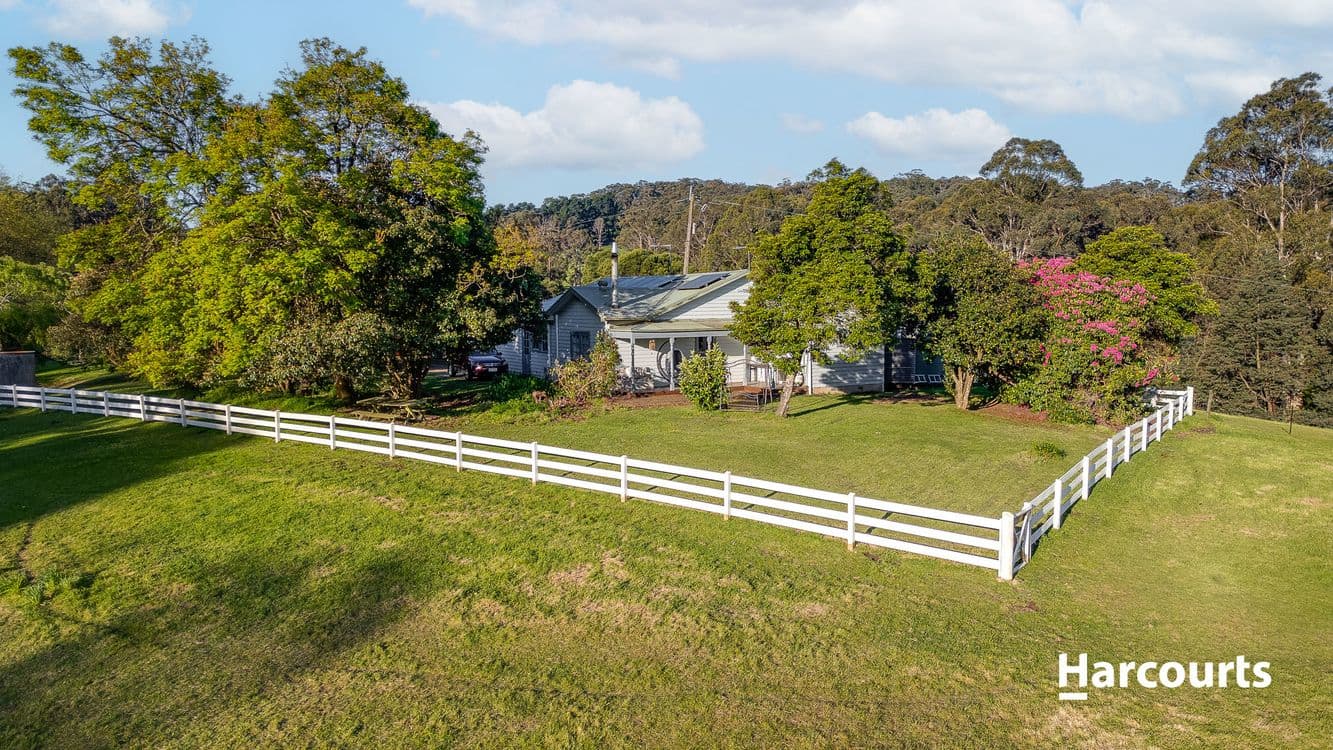 9043/1070 Bessie Creek Road, Gembrook, VIC 3783, Gembrook - Thumbnail 3