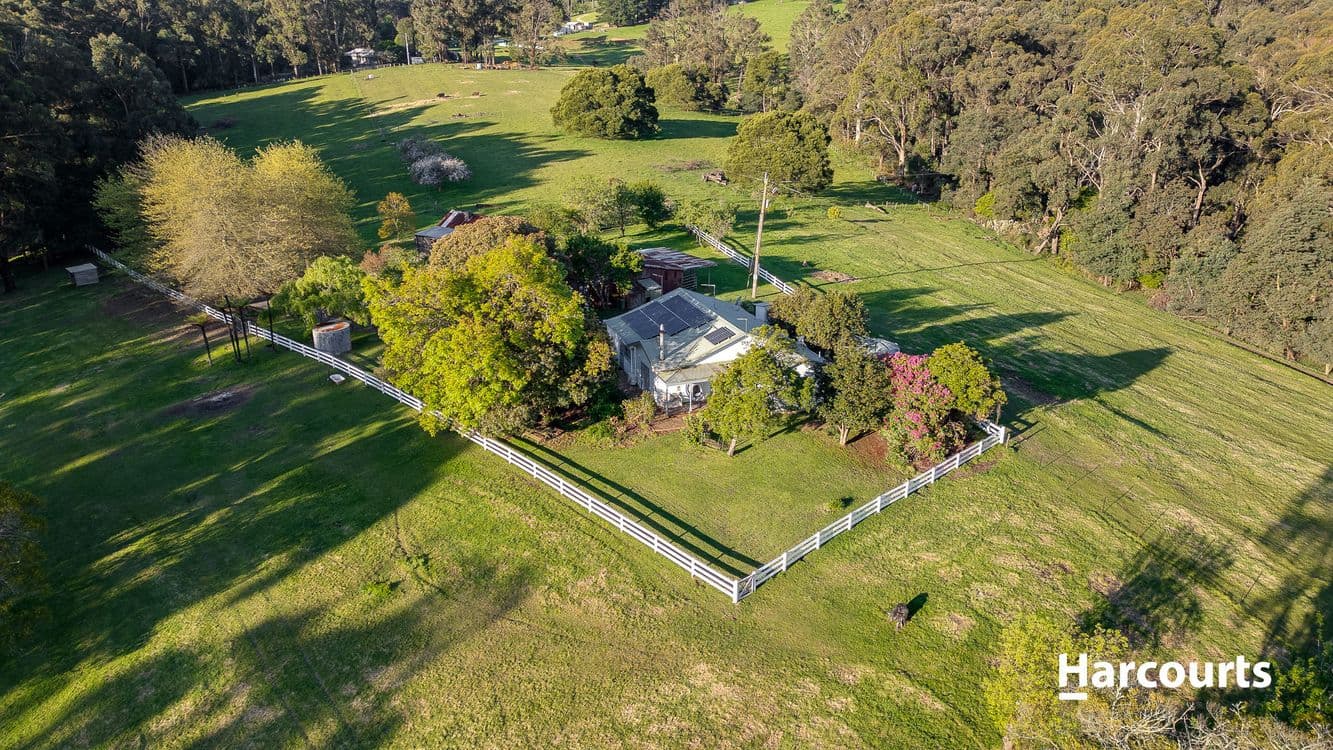 9043/1070 Bessie Creek Road, Gembrook, VIC 3783, Gembrook - Thumbnail 4