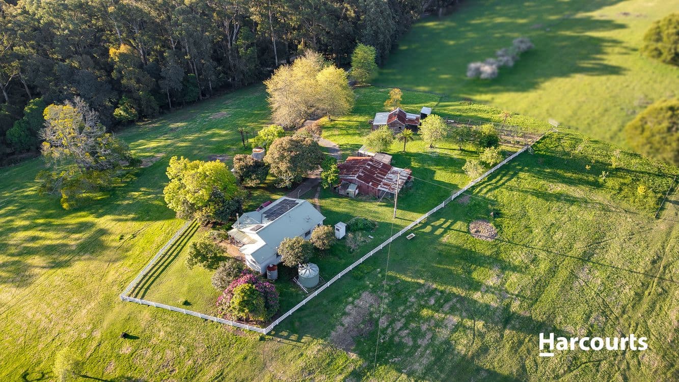 9043/1070 Bessie Creek Road, Gembrook, VIC 3783, Gembrook - Thumbnail 5