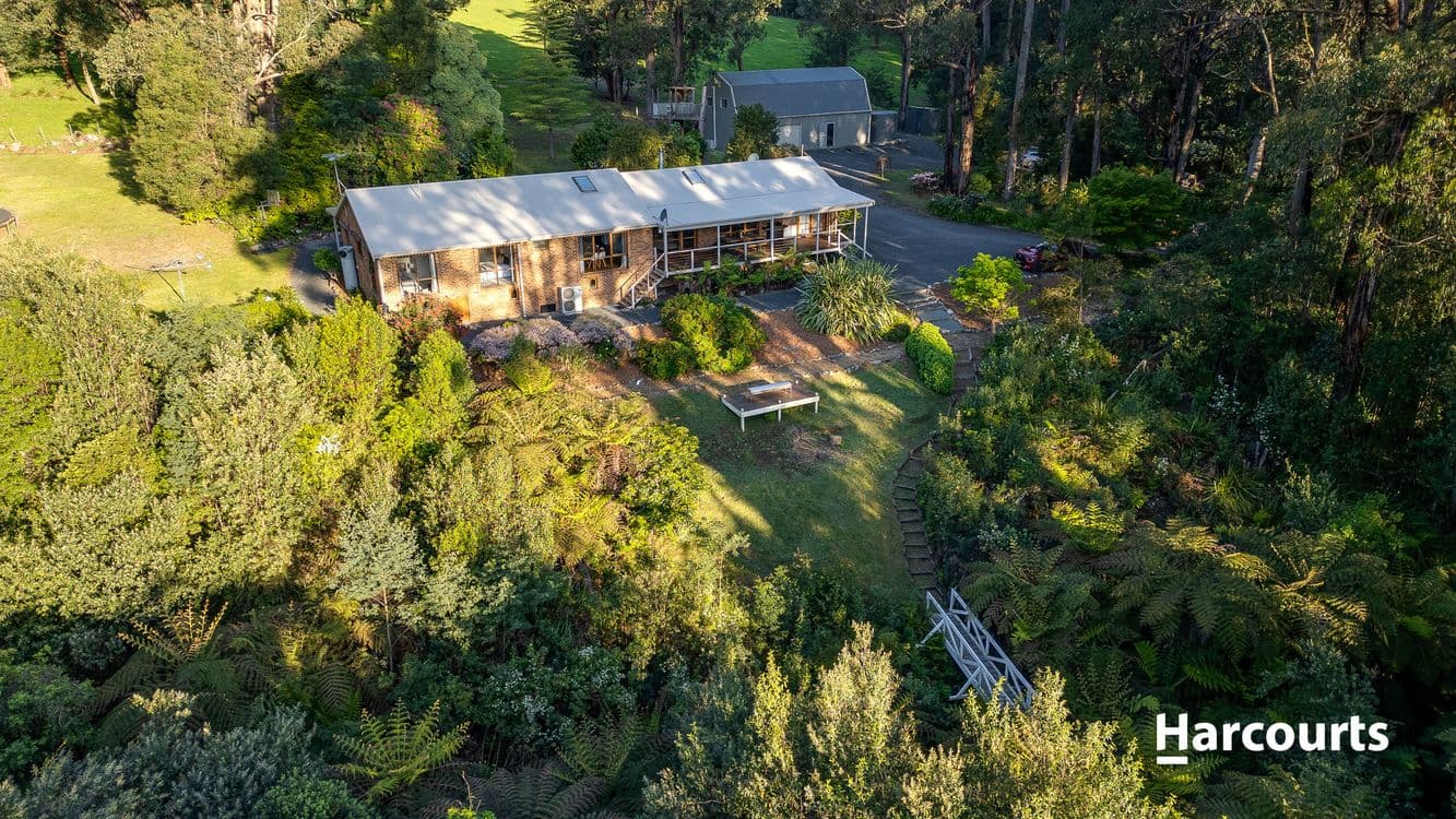 9043/1070 Bessie Creek Road, Gembrook, VIC 3783, Gembrook - Thumbnail 7