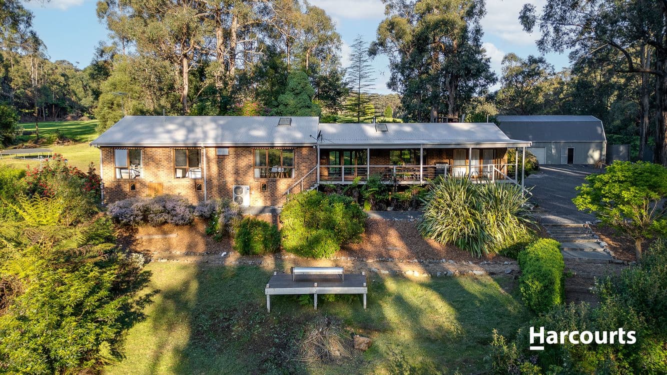 9043/1070 Bessie Creek Road, Gembrook, VIC 3783, Gembrook - Thumbnail 8