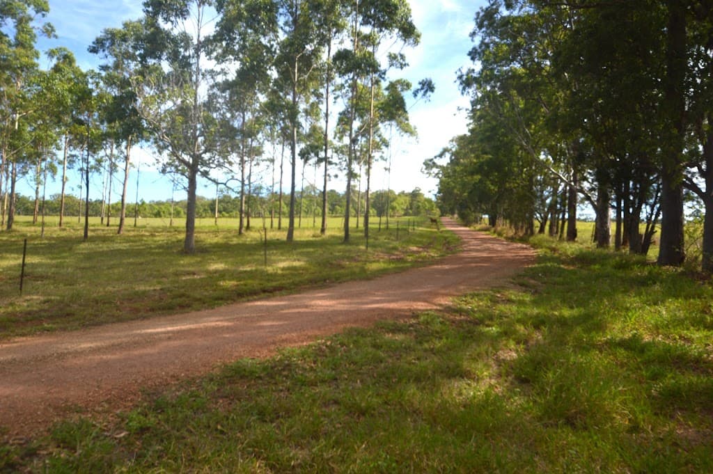 709 Kaban Road, Kaban, QLD, 4888, Kaban - Thumbnail 3