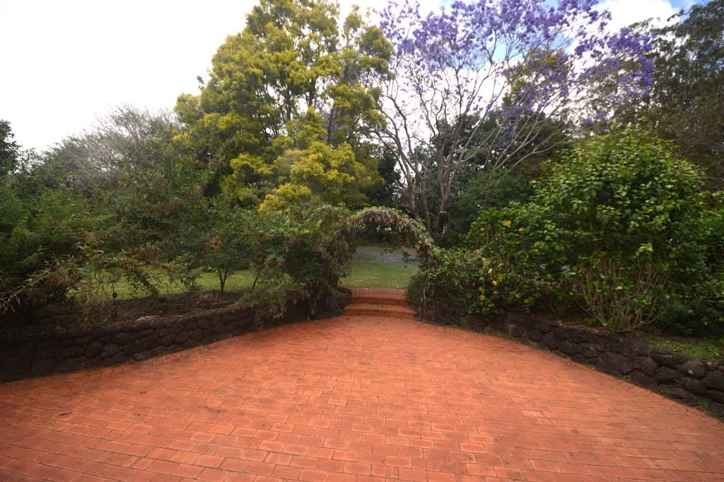 709 Kaban Road, Kaban, QLD, 4888, Kaban - Thumbnail 8