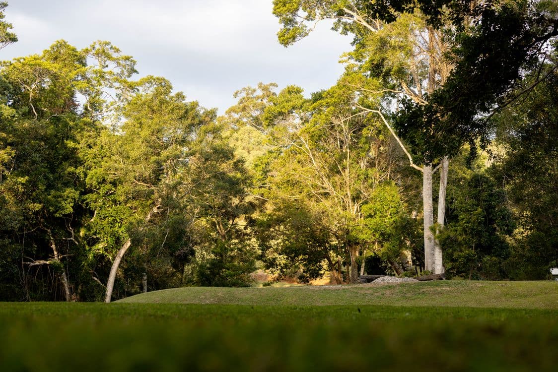 688 Pomona Kin Kin Rd, KIN KIN, QLD 4571, Kin Kin - Thumbnail 4
