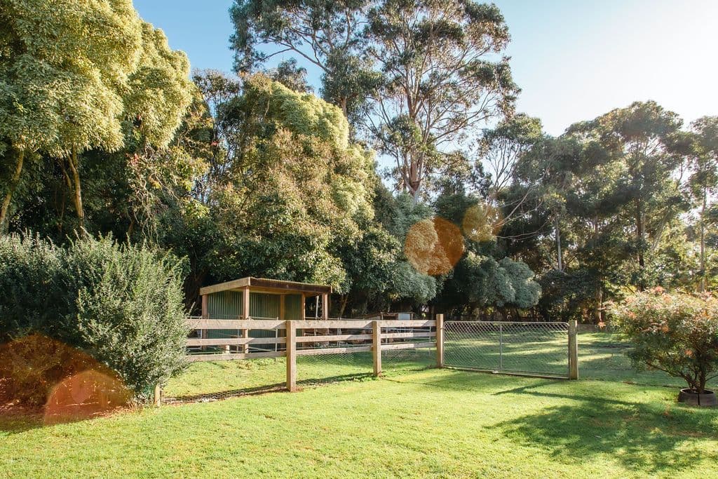 19 Wellington Road, TYABB, VIC 3913, Tyabb - Thumbnail 4