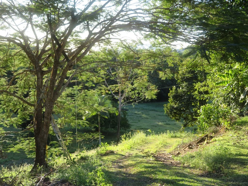 364 Coquette Point Road, Coquette Point, QLD, 4860, Coquette Point - Thumbnail 6