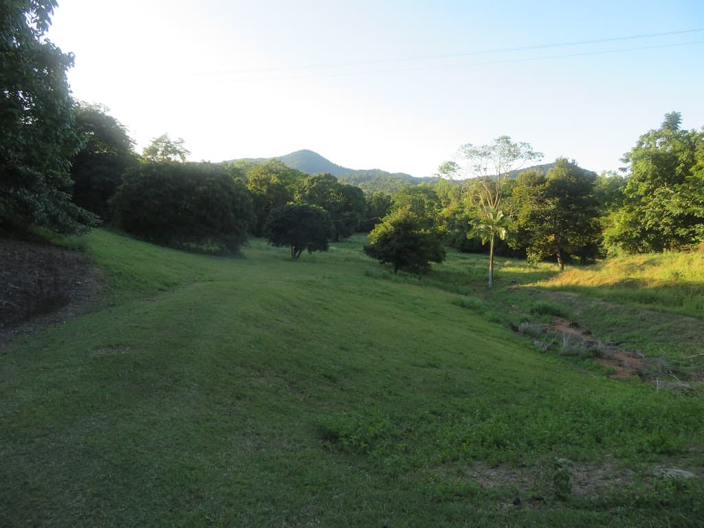 364 Coquette Point Road, Coquette Point, QLD, 4860, Coquette Point - Thumbnail 7
