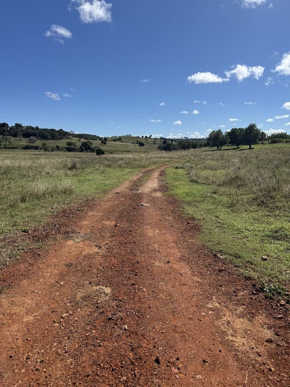 257 Basin Road, Kinleymore, QLD, 4613, Kinleymore - Image 1