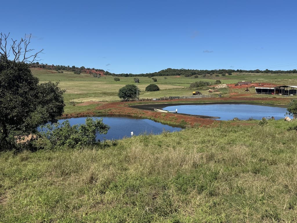 257 Basin Road, Kinleymore, QLD, 4613, Kinleymore - Thumbnail 3