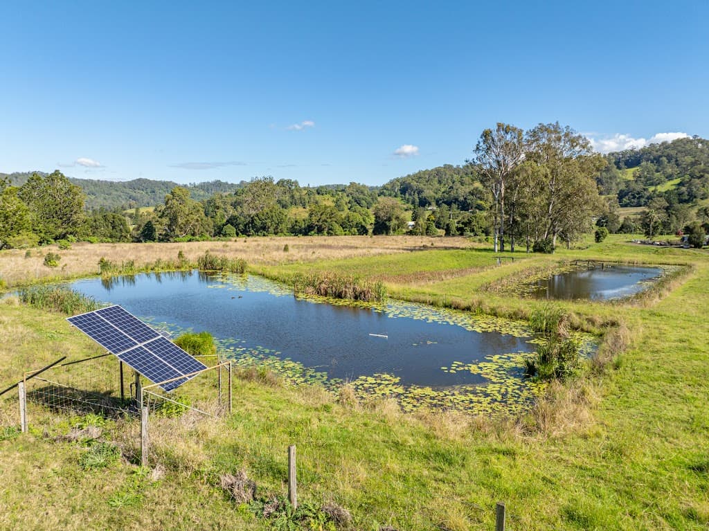 1036 Jiggi Road, Jiggi, NSW, 2480, Jiggi - Thumbnail 3