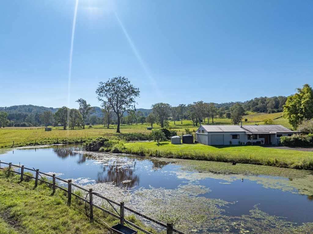 1036 Jiggi Road, Jiggi, NSW, 2480, Jiggi - Thumbnail 7