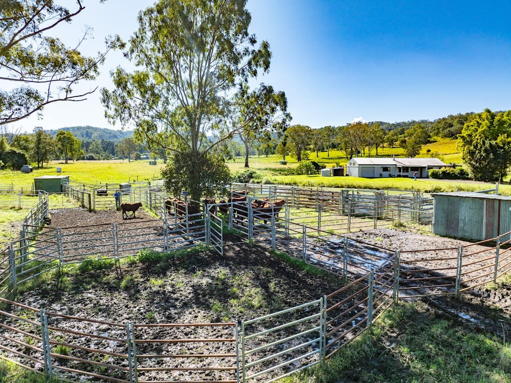 1036 Jiggi Road, Jiggi, NSW, 2480, Jiggi - Thumbnail 8