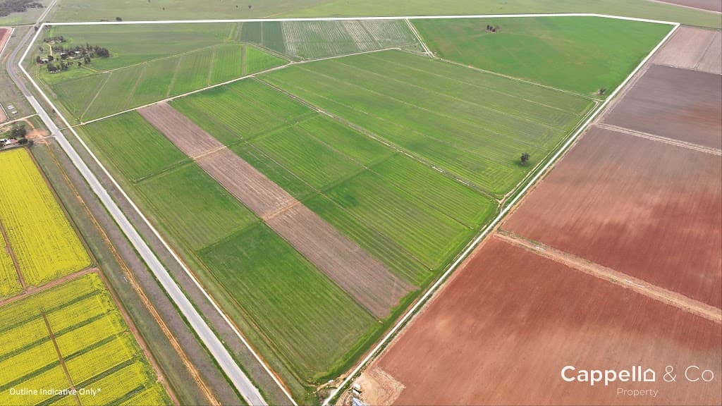 1390 Whitton Darlington Point Road, Whitton, NSW, 2705, Whitton - Image 1