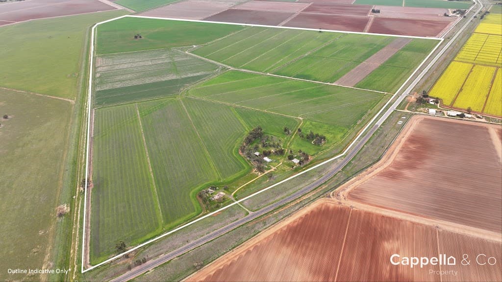 1390 Whitton Darlington Point Road, Whitton, NSW, 2705, Whitton - Thumbnail 2