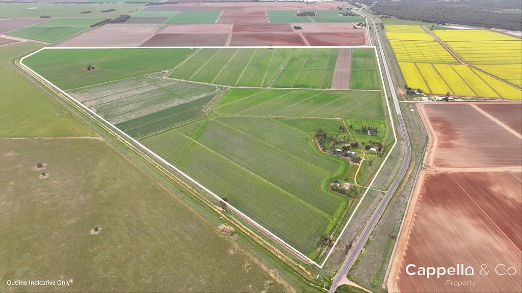 1390 Whitton Darlington Point Road, Whitton, NSW, 2705, Whitton - Thumbnail 3