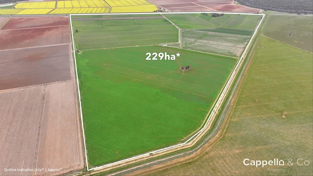 1390 Whitton Darlington Point Road, Whitton, NSW, 2705, Whitton - Thumbnail 4